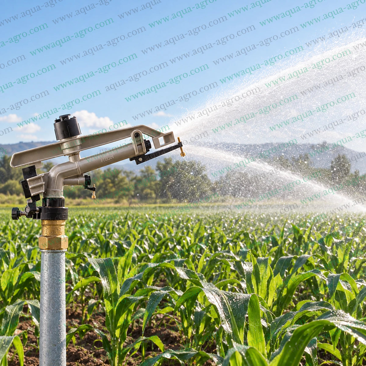 AUTOMAT Pelican HT-42G Rain Gun Impact Sprinkler Installed on Metal Riser Pipe Spraying Water Across Agricultural Crop Field with Adjustable Part and Full Circle Irrigation Coverage