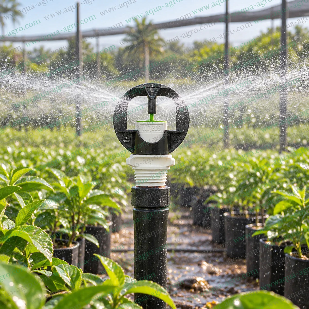 AUTOMAT Aquatuff HT-205 white micro sprinkler operating in nursery field with full circle 360 degree water spray for agricultural irrigation