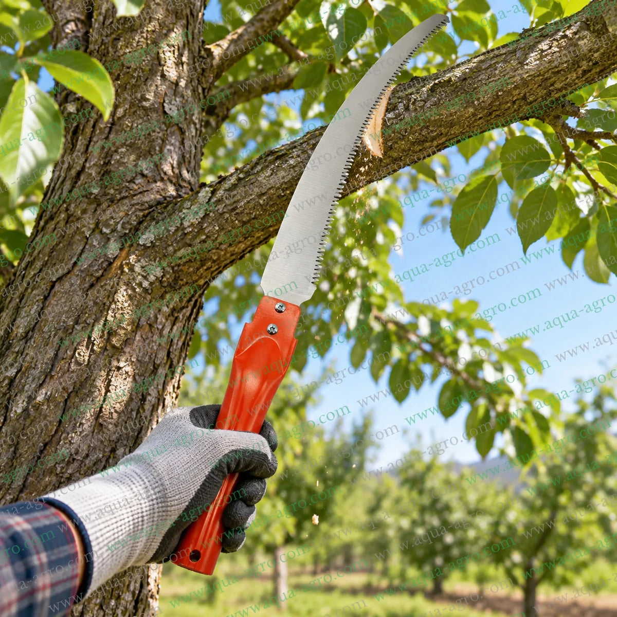 DAP 9041-C-K2 curved pruning saw with SK5 steel 3D cutting blade and orange metal handle in use for cutting tree branches orchard pruning gardening and landscaping