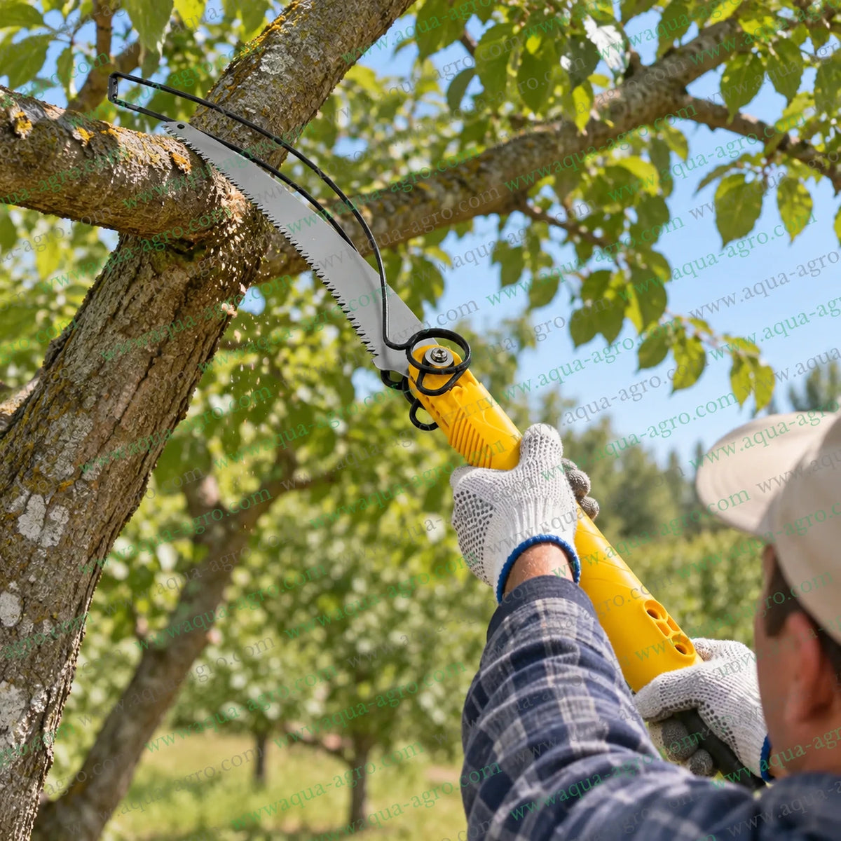 DAP RH-330-B premium curved pole saw with 13 inch 3D razor sharp heat treated SK5 steel blade cutting thick tree branches in orchard