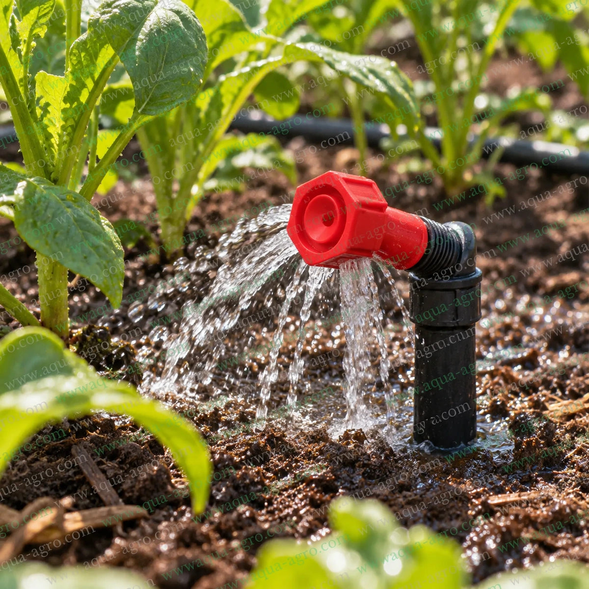 DOLPHIN Red Plastic Mister Bubbler with 0.5 Inch 20mm Male Threaded Inlet Spraying Water Around Vegetable Plants in Agricultural Field Using Micro Irrigation System