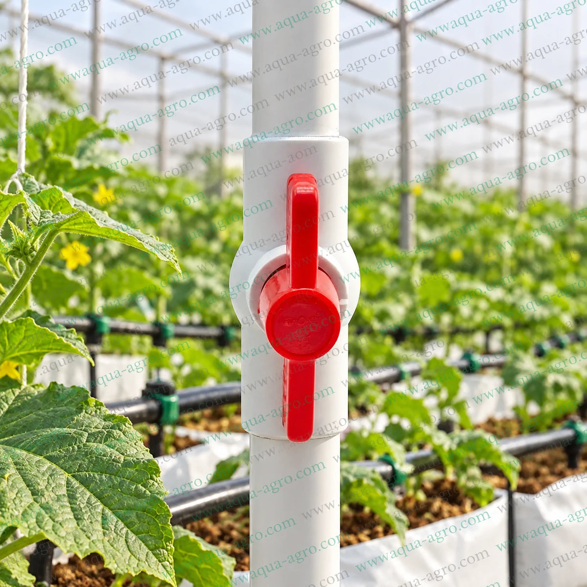 FINOLEX 0.5 inch 15mm UPVC moulded ball valve installed on irrigation pipeline in greenhouse for agricultural water flow control