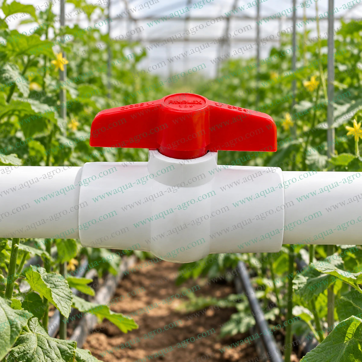FINOLEX 1.5 inch 40mm UPVC ball valve installed on irrigation water pipeline in greenhouse farming system