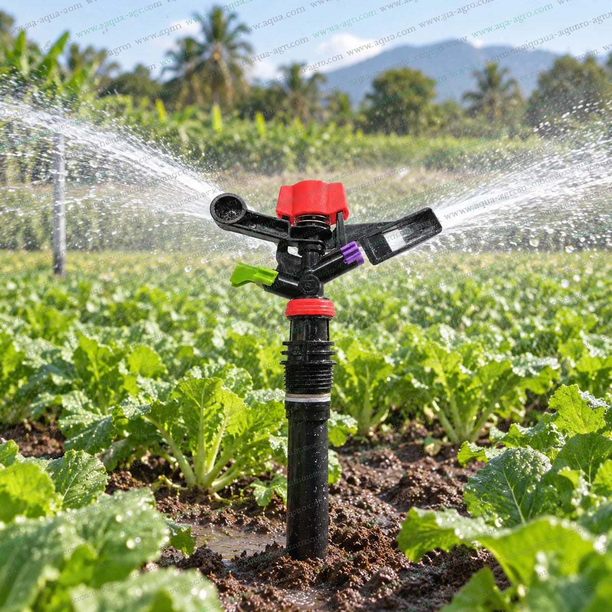 JABEE JB-22 impact mini sprinkler operating in agricultural crop field with full circle 360 degree water spray 25 to 35 feet radius 700 to 1050 LPH discharge 0.5 inch 20mm male threaded sprinkler for farm crop garden and field irrigation