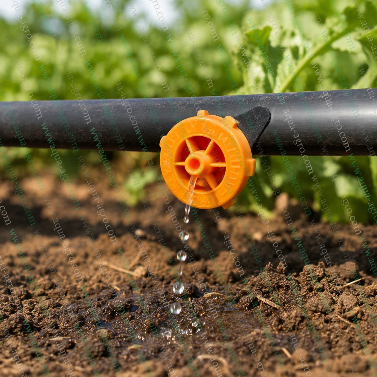 JAIN Turbo Key Plus 2 LPH non-PC openable yellow drip emitter installed directly on drip irrigation tube watering soil