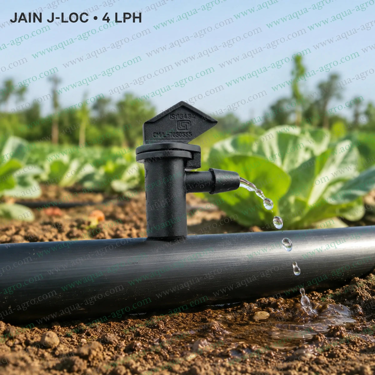 JAIN J-LOC 4 LPH openable dripper installed on drip irrigation tube watering vegetable crops in agricultural field