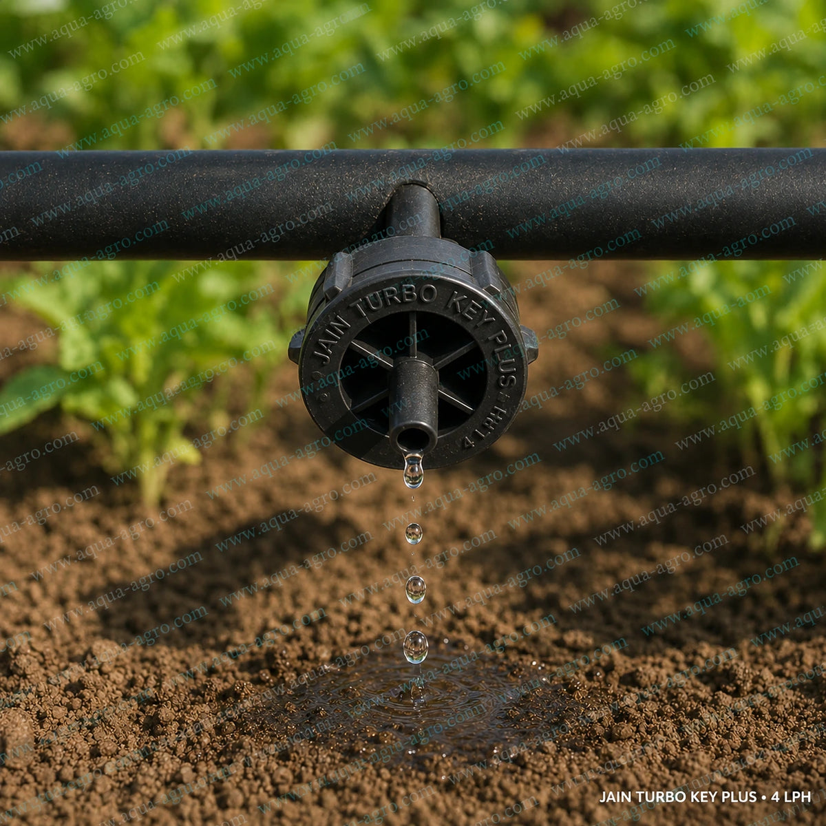JAIN Turbo Key Plus 4 LPH non-PC black openable drip emitter installed on drip irrigation tube delivering water to soil