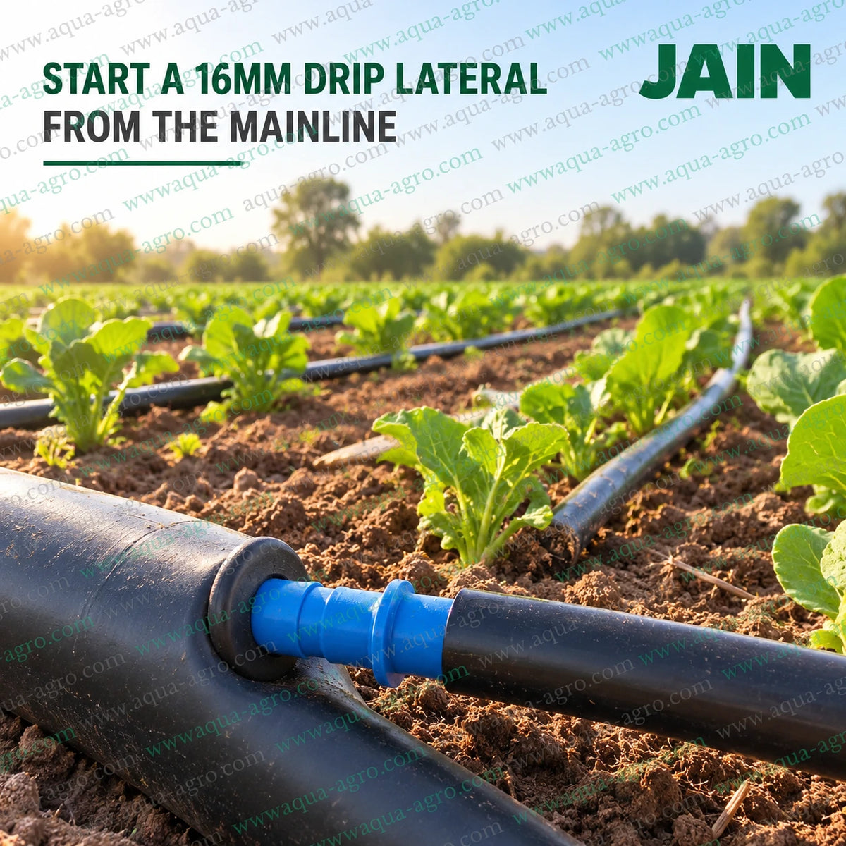 JAIN 16mm blue premium start connector take off fitting installed on black irrigation mainline with 16mm drip lateral pipe for agricultural drip irrigation systems