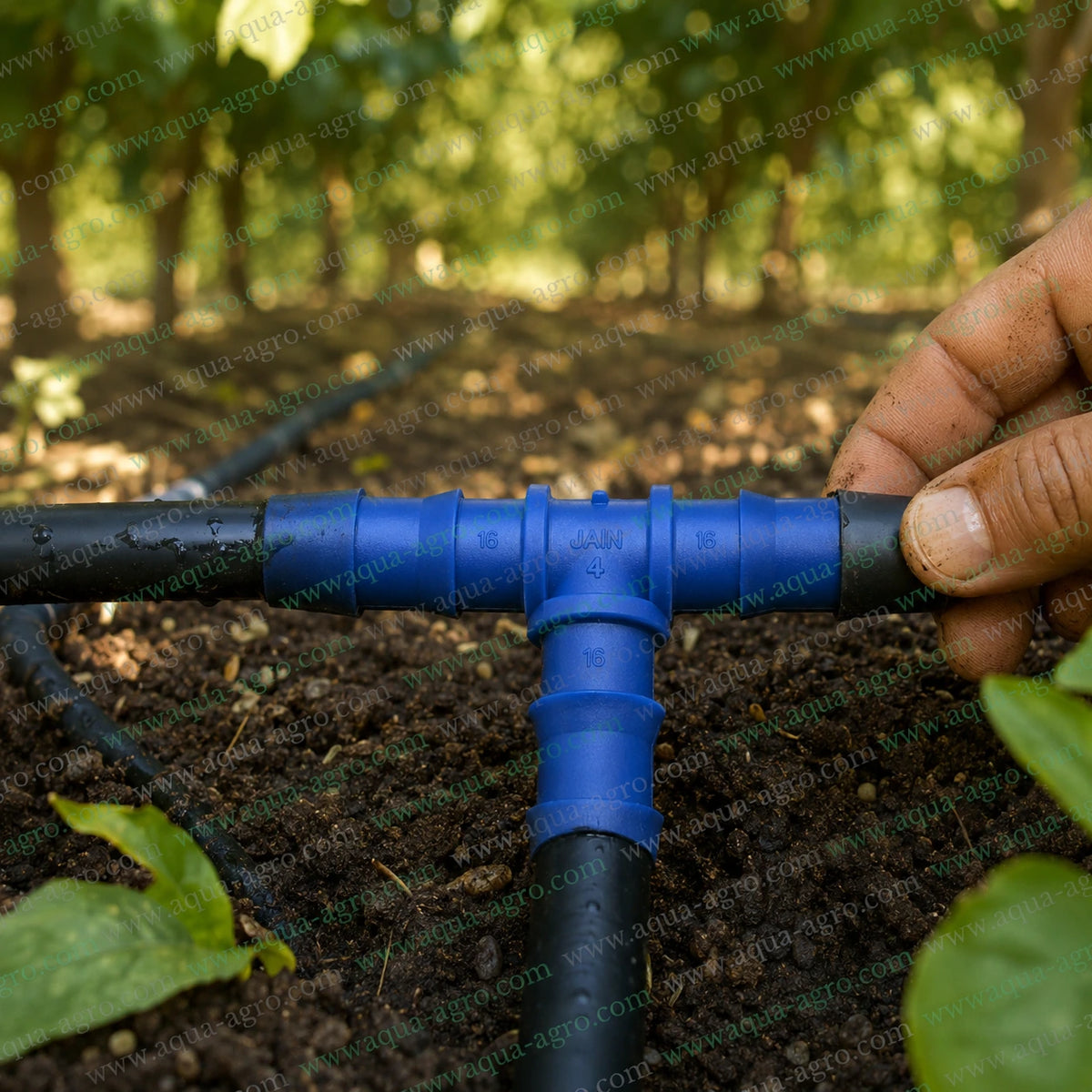 JAIN 16mm blue plastic barbed tee connector installed with three black drip irrigation lateral pipes for water distribution in agricultural fields