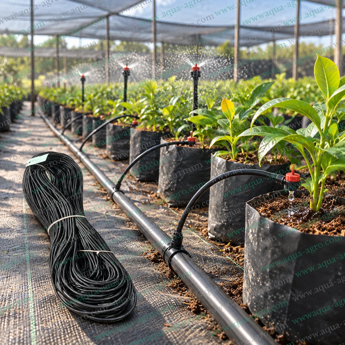 NETAFIM 3.3mm ID soft PVC micro tube connected to pressure compensating drippers and micro sprinklers for nursery plants and greenhouse drip irrigation systems