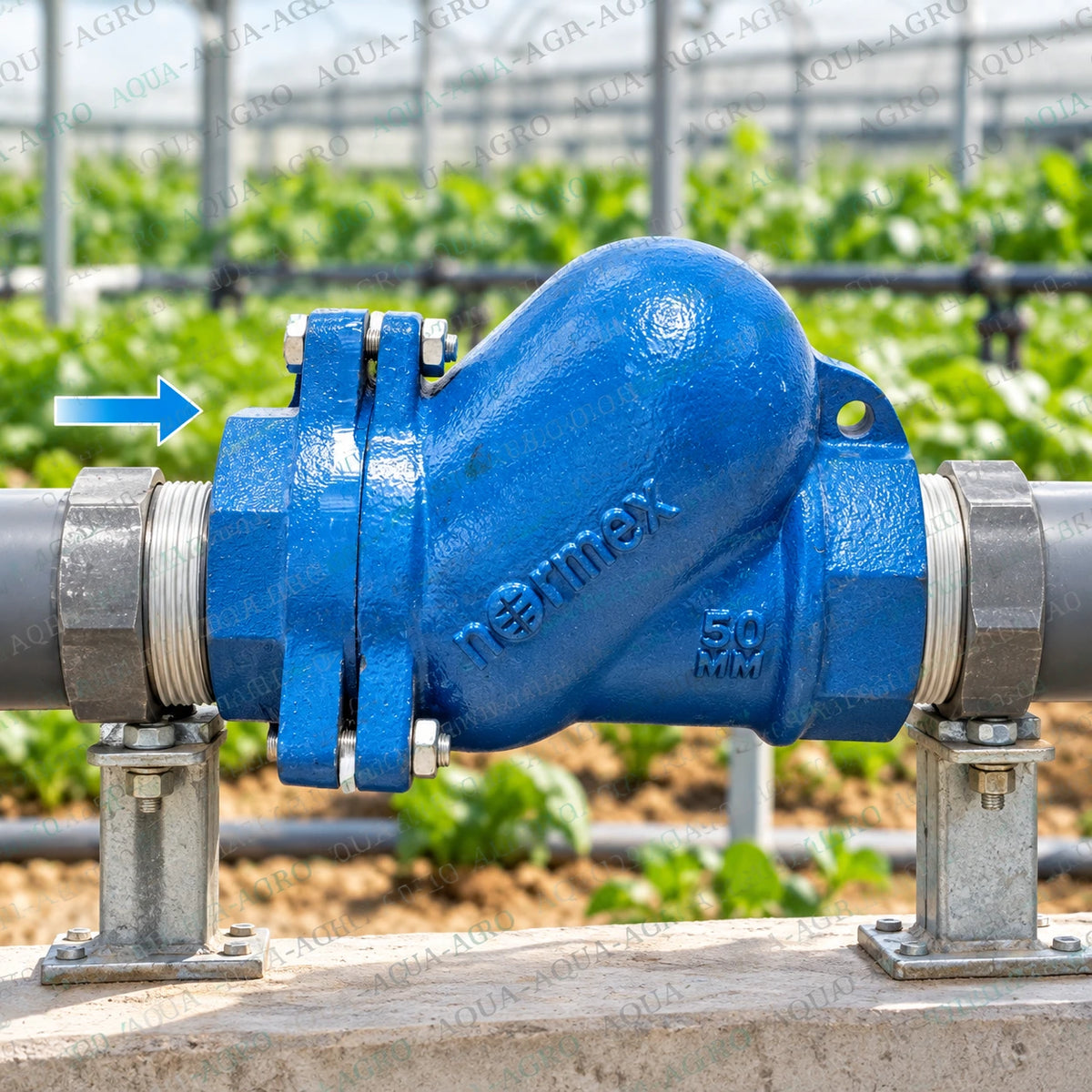 NORMEX 2 inch 50mm metal ball check non return valve NRV with blue heavy duty body female threaded inlet and outlet installed in agricultural greenhouse irrigation pipeline for preventing reverse water flow