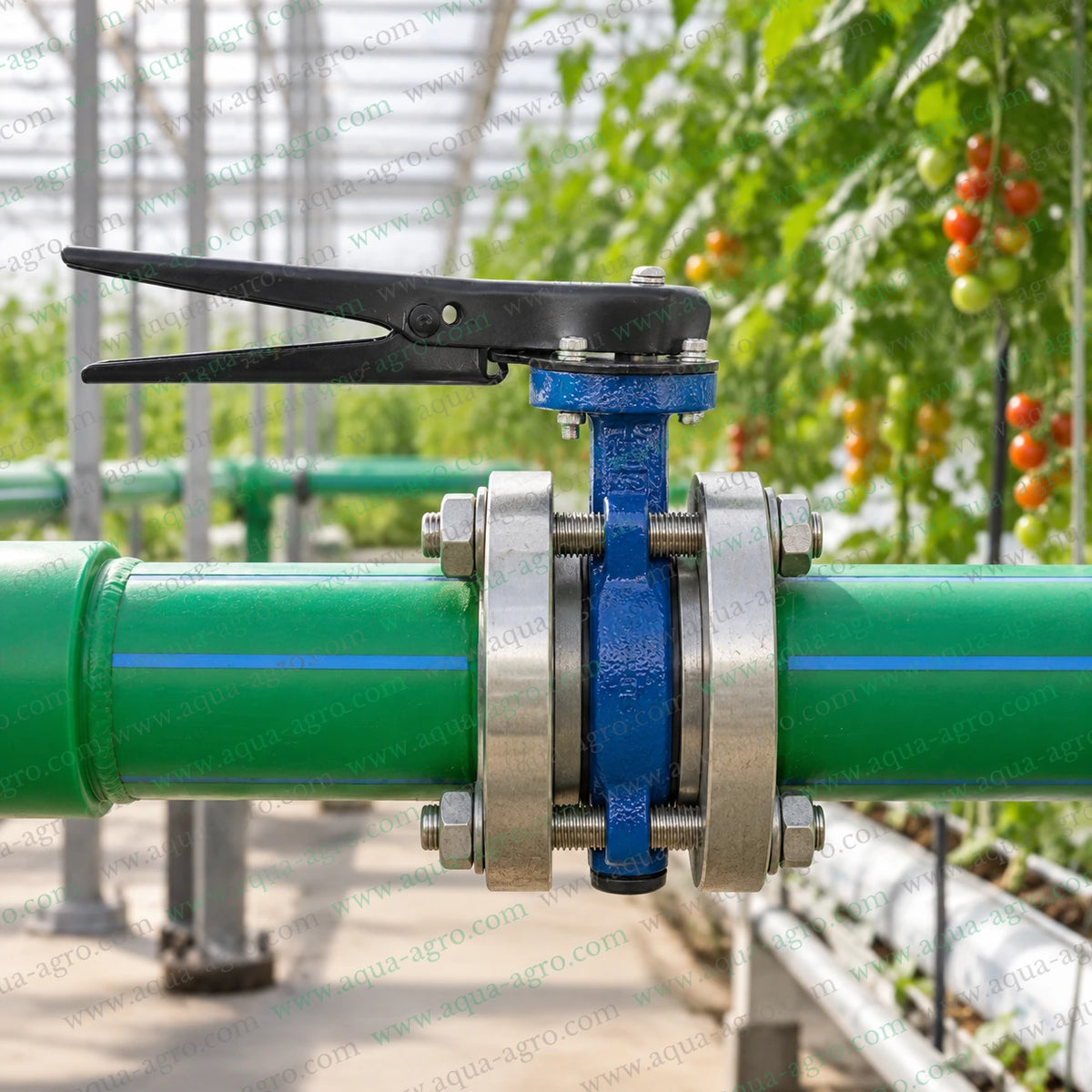 NORMEX 1.5 inch 40mm cast iron butterfly valve installed between metal pipe flanges in a greenhouse irrigation system for agricultural water flow control