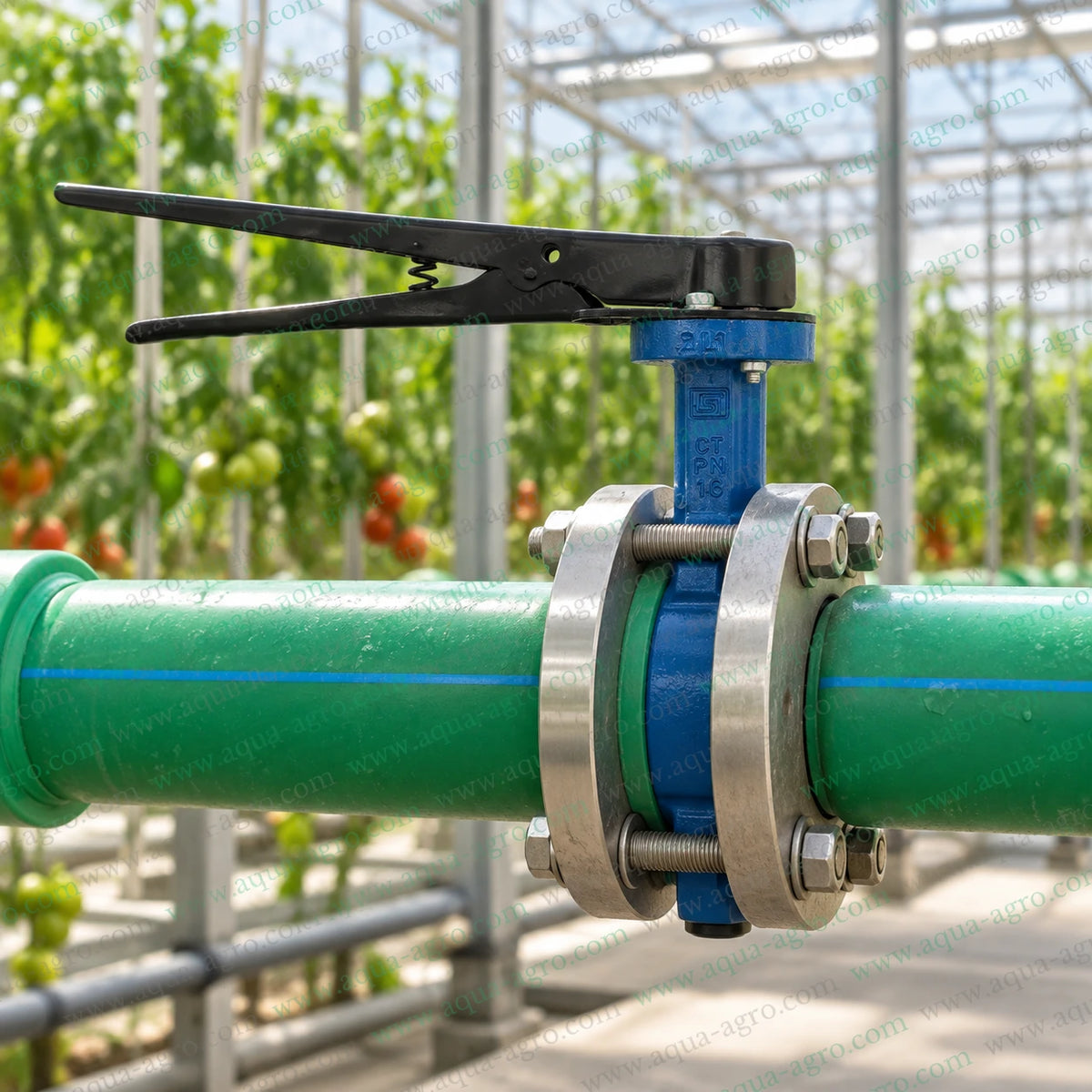 NORMEX 3 inch 80mm cast iron butterfly valve installed between flanges on a greenhouse irrigation pipeline for reliable water flow control and agricultural water distribution