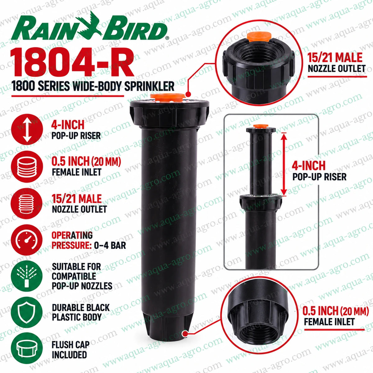 RAIN BIRD 1804-R 1800 Series 4 inch pop-up sprinkler body installation with 0.5 inch female threaded inlet for lawn garden and landscape irrigation