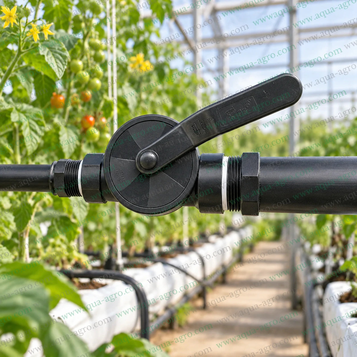 RAJ PP moulded female threaded ball valve installed on greenhouse irrigation pipeline for agricultural water flow control