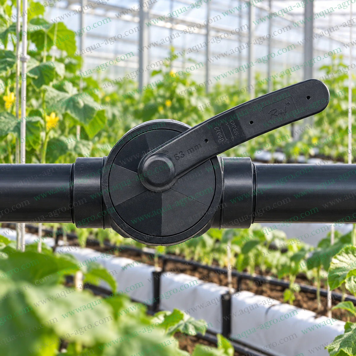 RAJ 2 inch 63mm PP moulded ball valve installed on greenhouse irrigation pipeline for agricultural water flow control