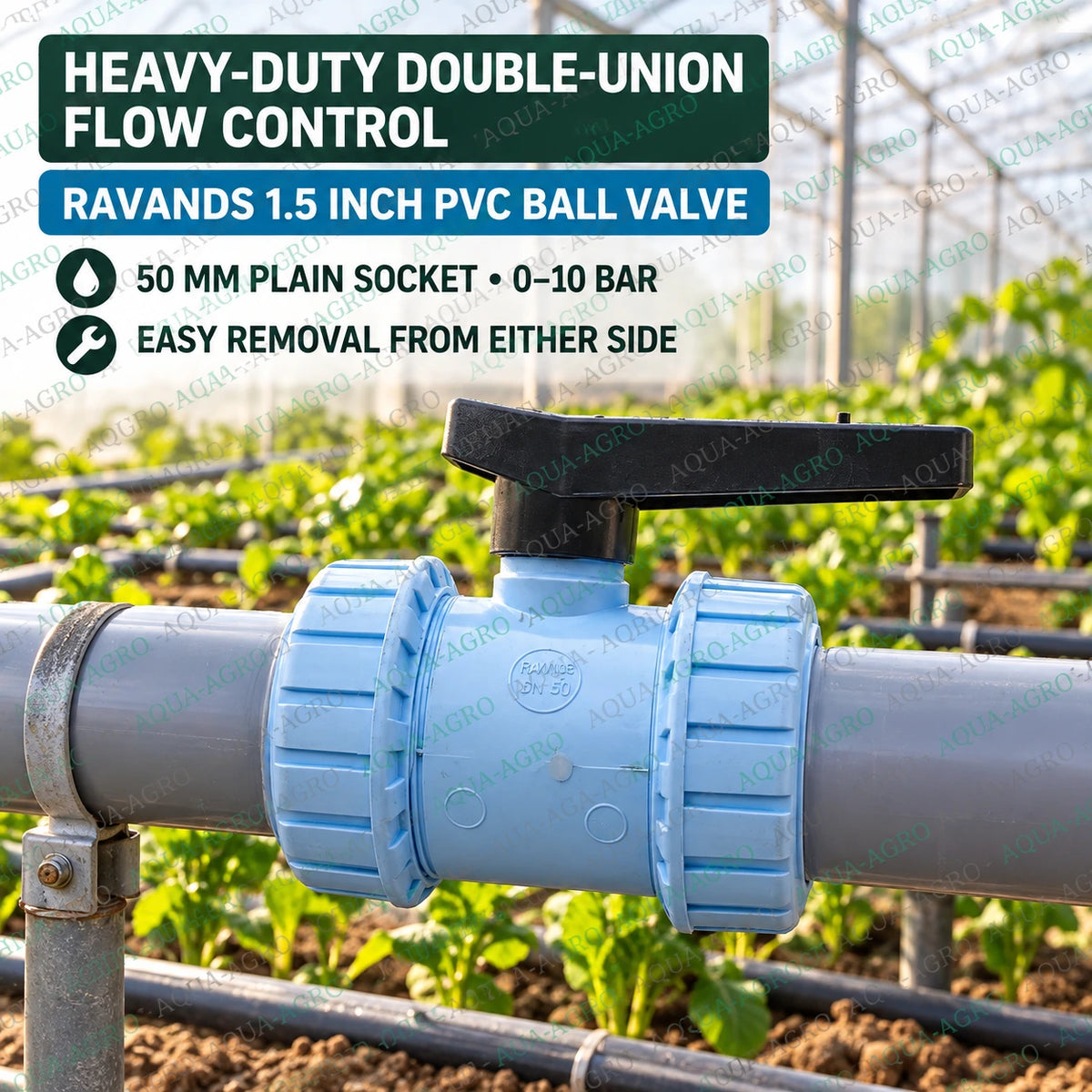 RAVANDS 1.5 inch 50 mm PVC double union ball valve installed in agricultural irrigation pipeline with light blue body black quarter turn handle plain socket connections and 0 to 10 bar operating pressure for greenhouse irrigation and water flow control