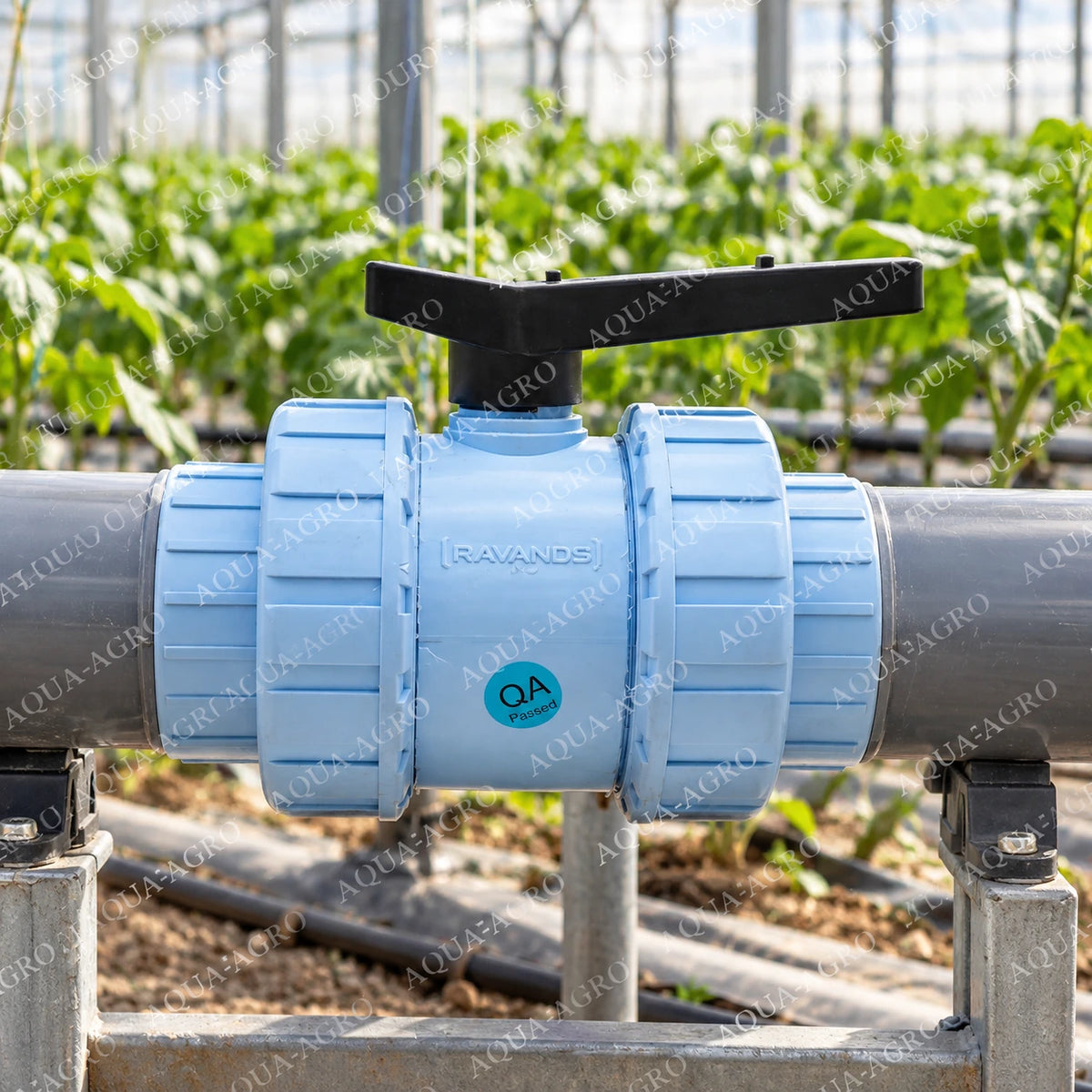 RAVANDS 2.5 inch 75 mm PVC double union ball valve installed in greenhouse irrigation pipeline featuring light blue PVC construction black manual control handle removable union connections and plain socket fittings for farm irrigation and agricultural water supply systems