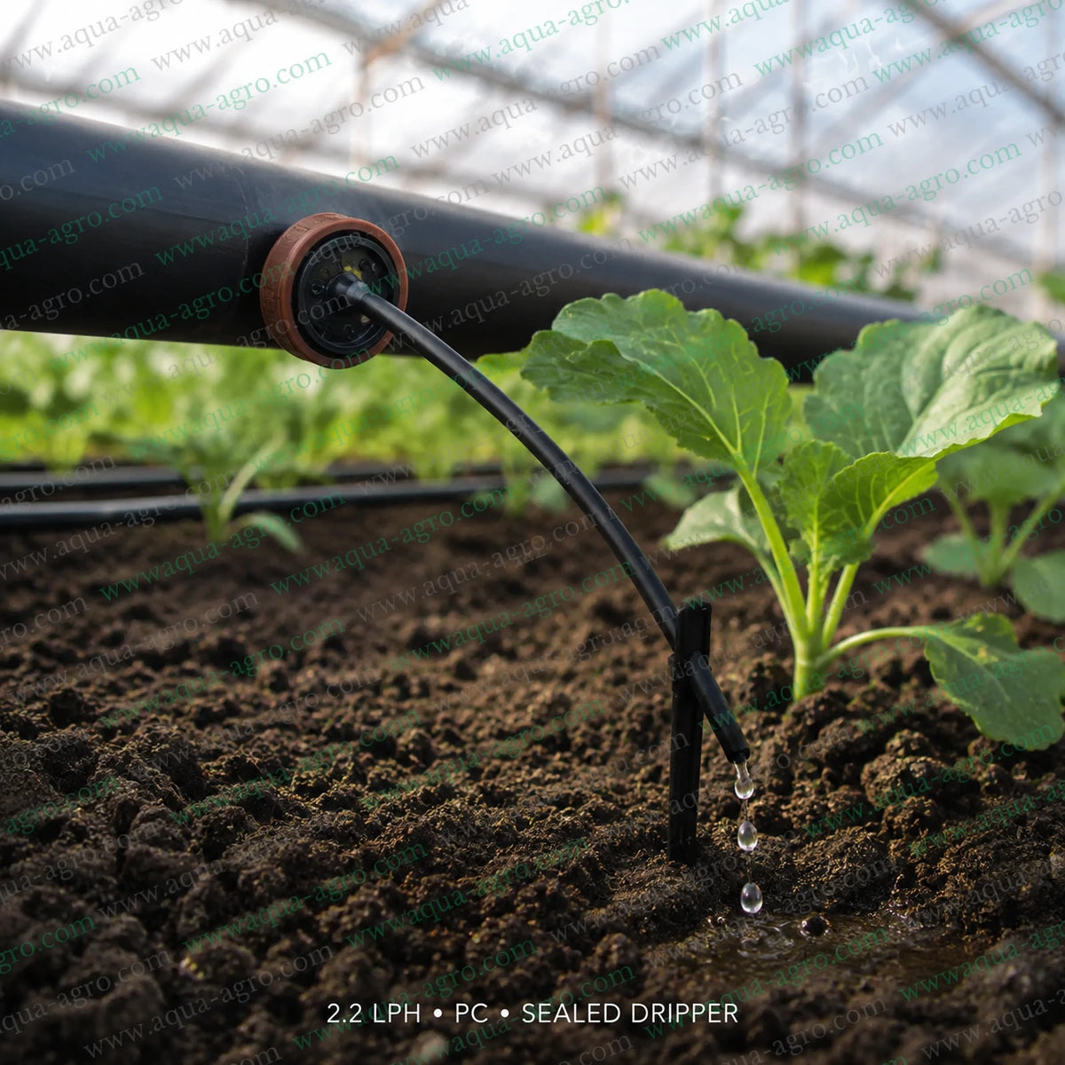 RIVULIS Supertif 2.2 LPH PC dripper delivering precise water through micro tube in greenhouse drip irrigation system