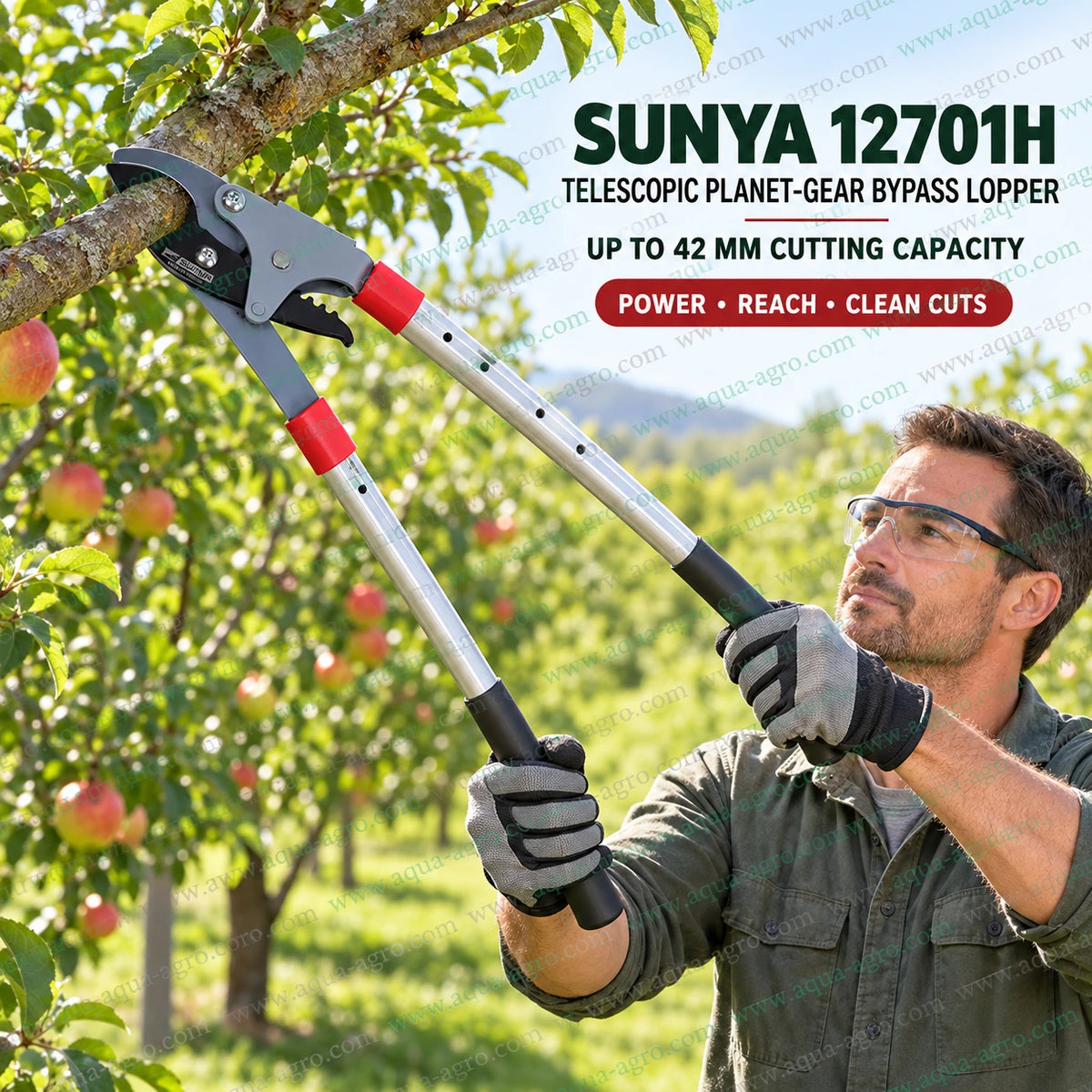 SUNYA Taiwan 12701H telescopic bypass lopper with extendable aluminium handles and planet gear action pruning a tree branch in an orchard with 42mm cutting capacity