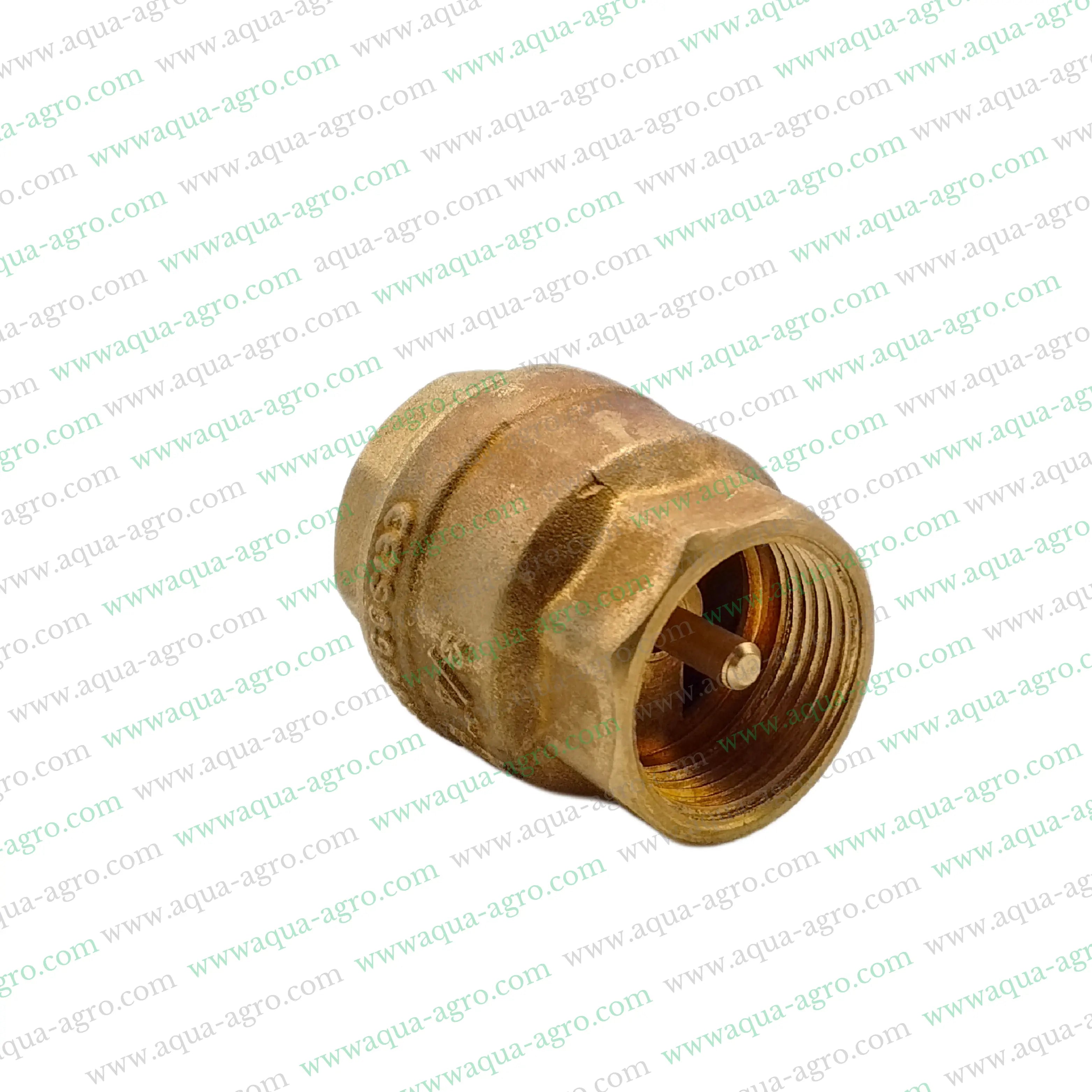 Non Return Valve (NRV),0.75 inch NRV,20mm Spring Check Valve,Brass Spring ValveThreaded End Valve