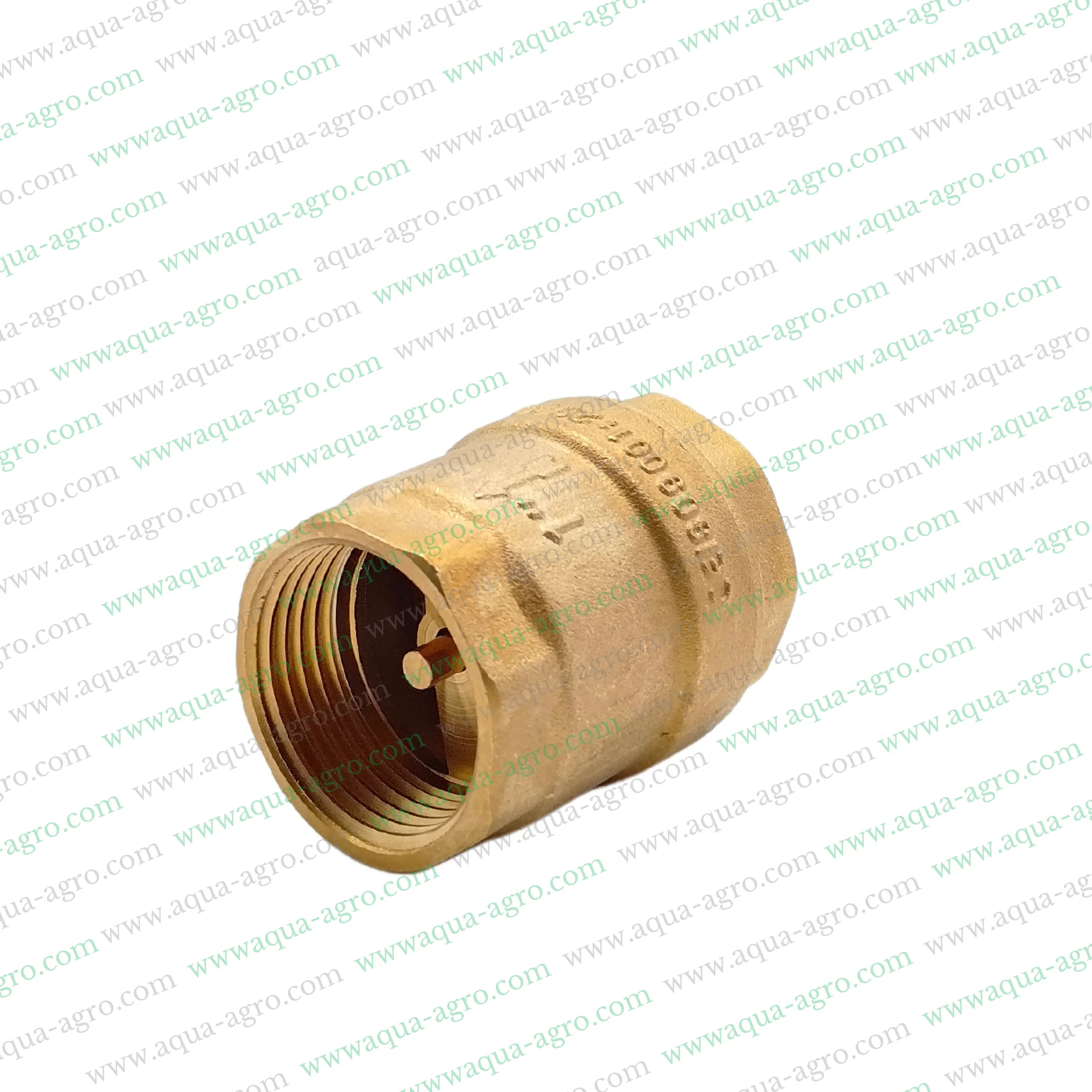 Non Return Valve (NRV),1 Inch NRV,Spring Check Valve,Threaded Check Valve,25mm Non Return Valve