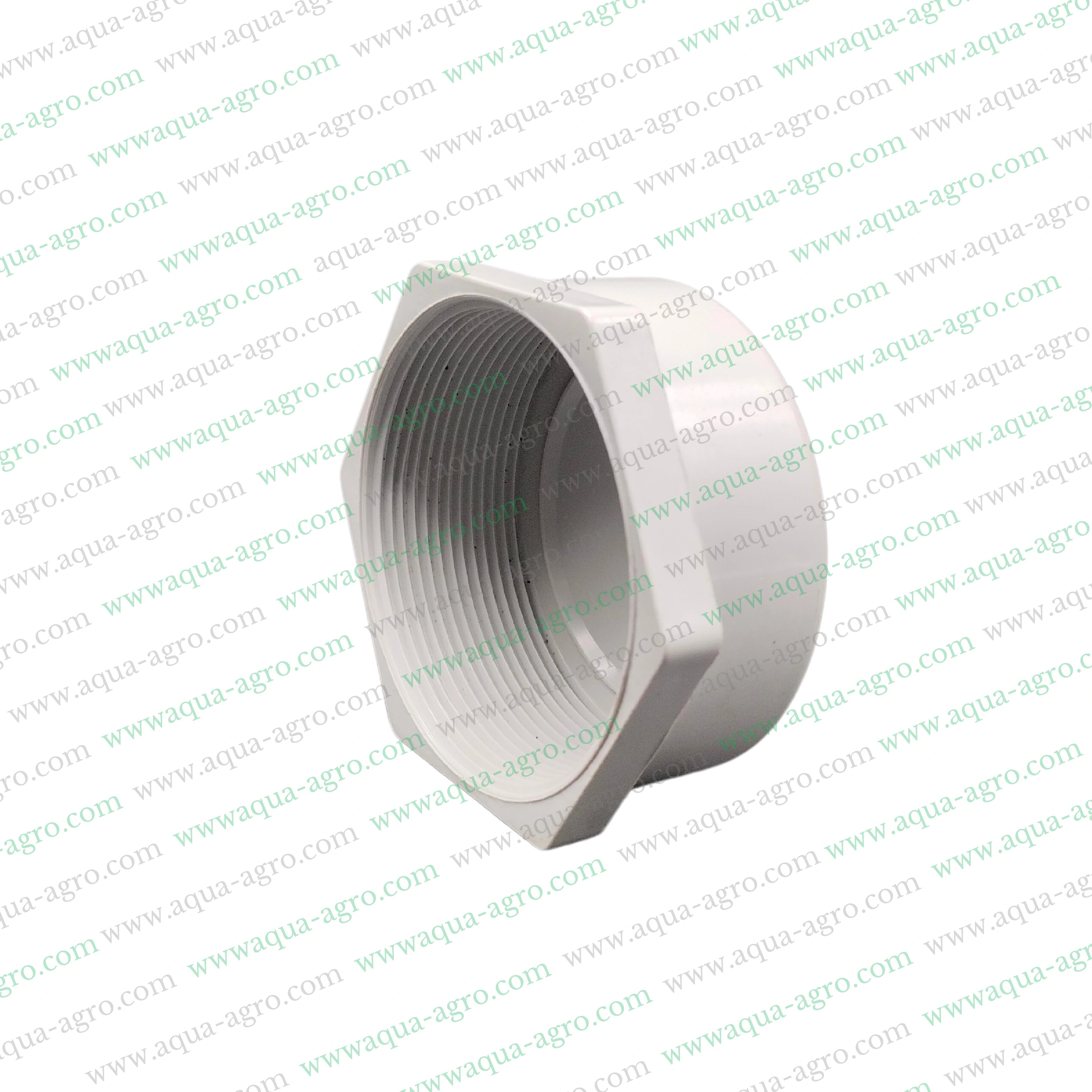 2.5 inch PVC pipe fittings,75mm PVC end cap,Threaded PVC cap,Heavy-duty PVC end cap,Finolex 2.5 inch accessories