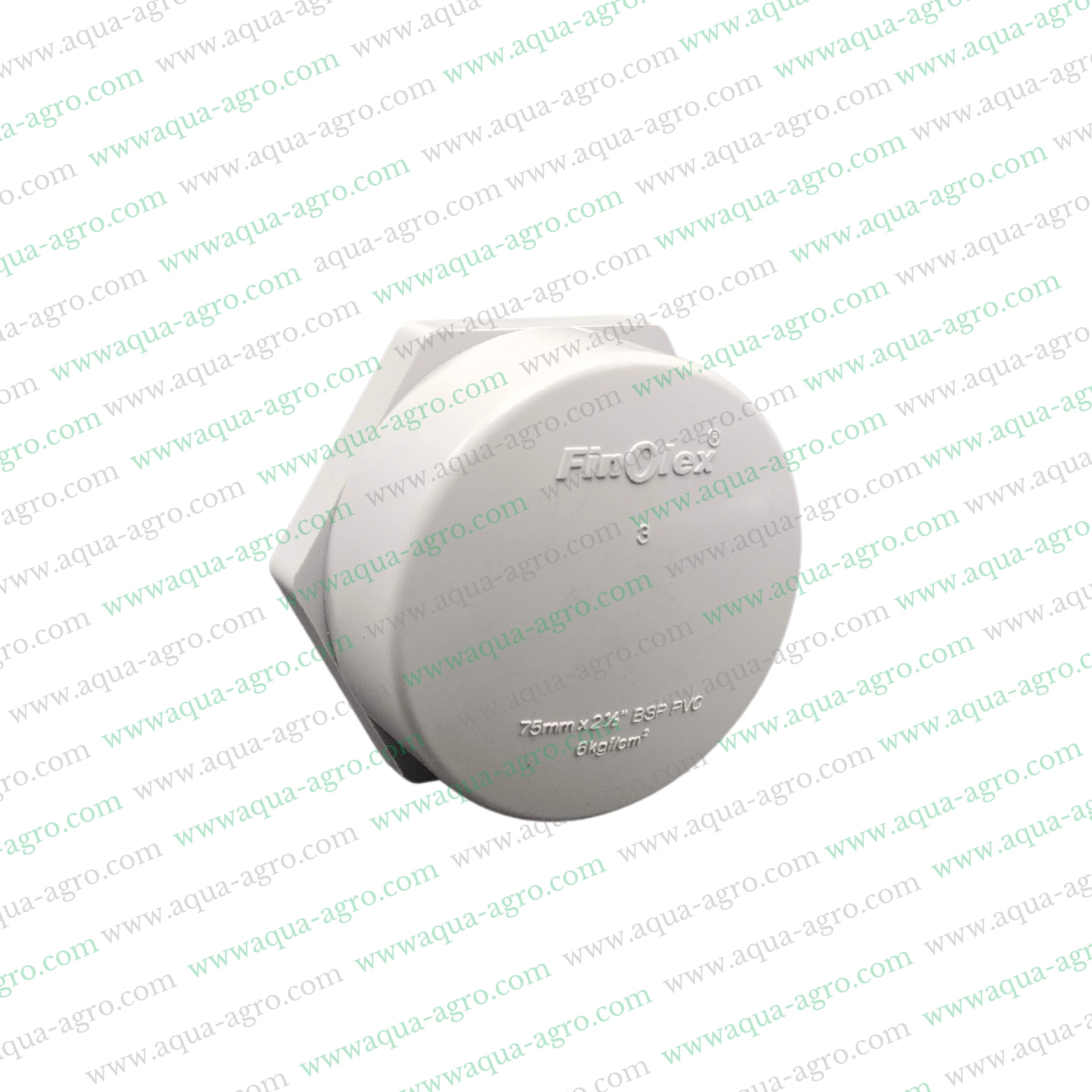 2.5 inch PVC pipe fittings,75mm PVC end cap,Threaded PVC cap,Heavy-duty PVC end cap,Finolex 2.5 inch accessories