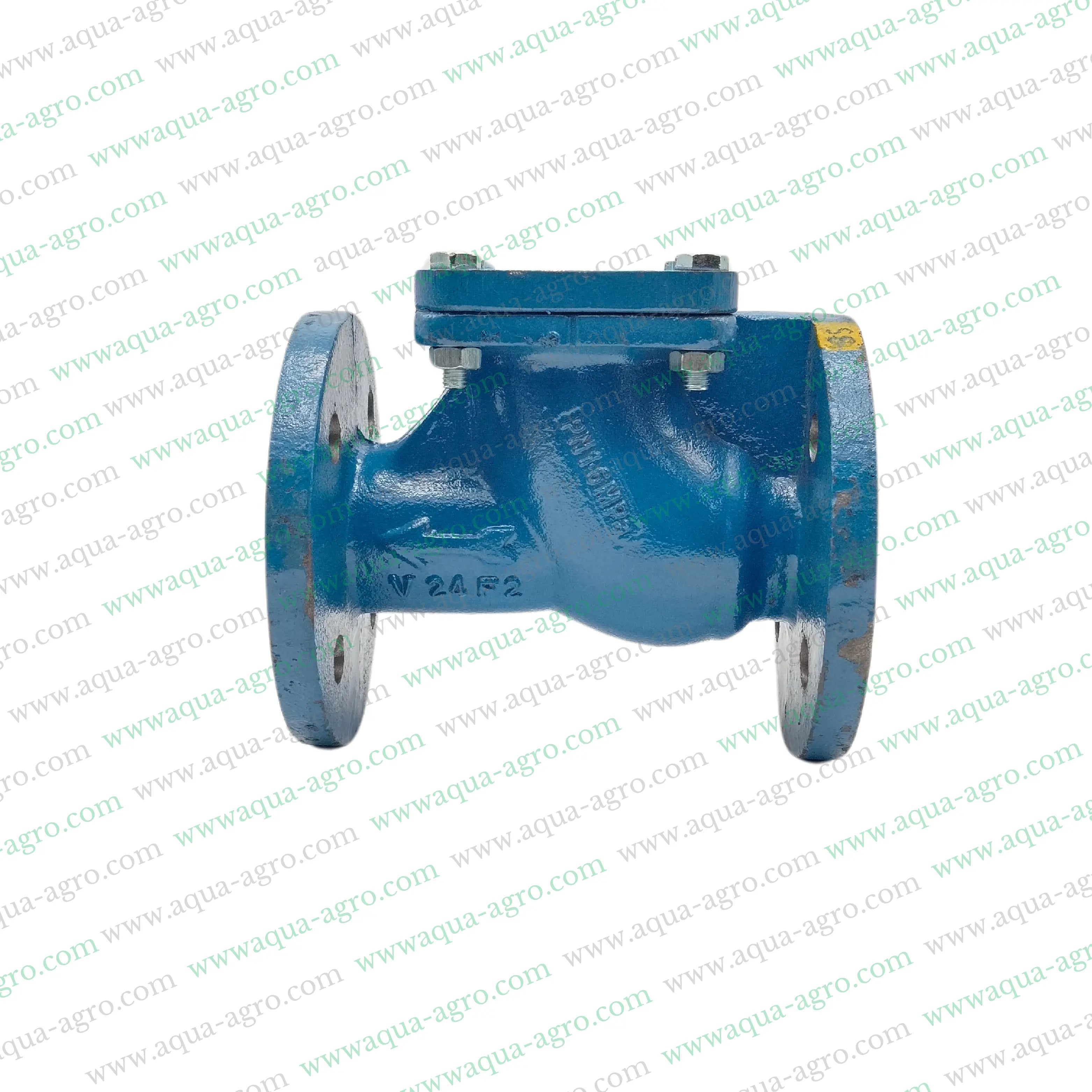 Non-Return Valve,Metal Non-Return Valve,CI Valve (Cast Iron Valve),2 Inch Non-Return Valve,50mm Non-Return Valve,Flanged Non-Return Valve,Durable NRV Valve